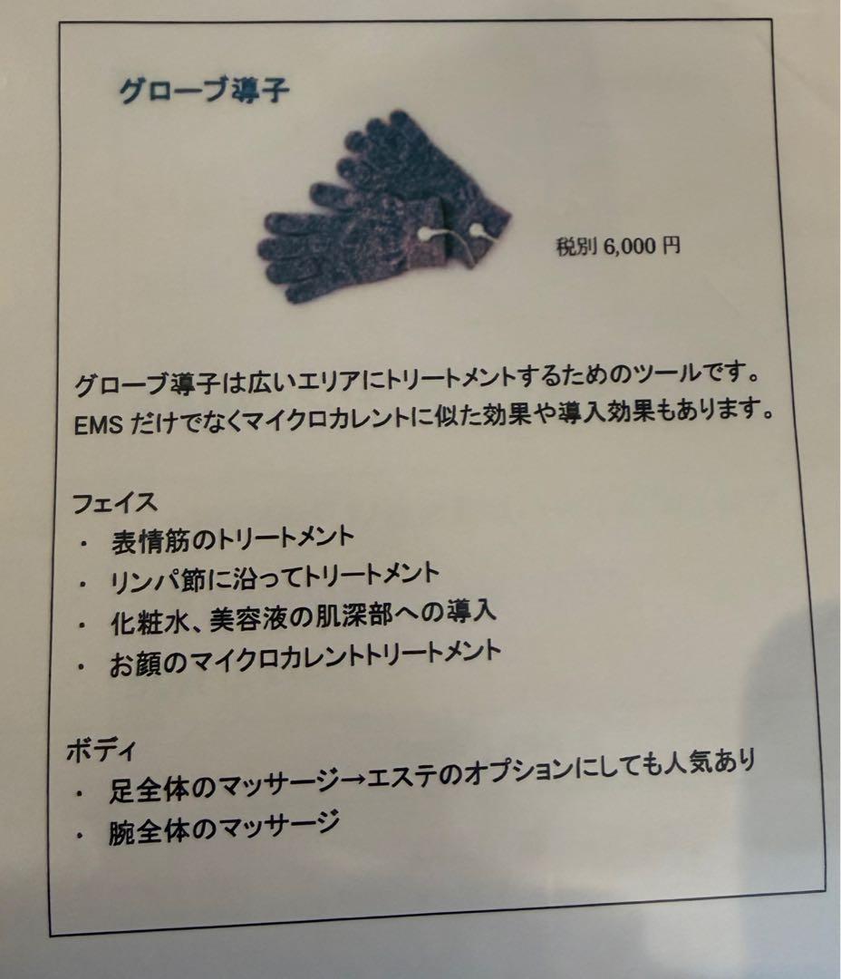 【美品】Pureline & Slim Pure II業務用EMS 2台セット