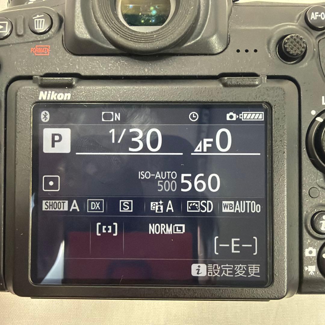ニコン D500 ボディ 中古美品 バッテリー2個 SDカード64GB 液晶保護
