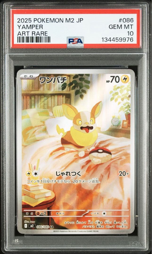 PSA10 ワンパチ　AR 086/080