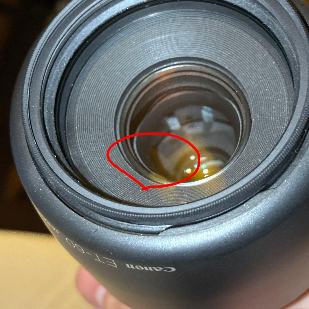 【極美品】CANON R50 ボディ + 単焦点 & 望遠レンズ