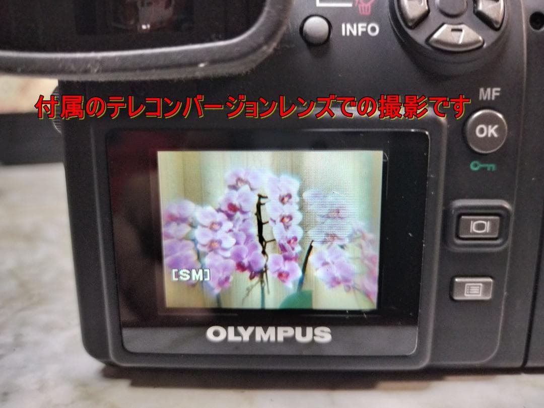 【希少/動作品】伝説の「瞬間の魔術師」OLYMPUS E-100RS フルセット