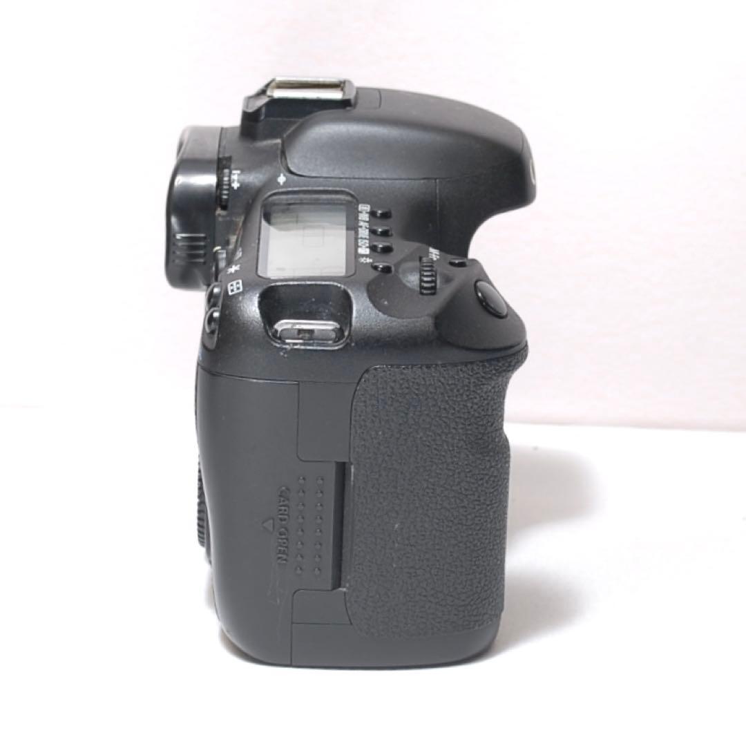 ✨スポーツ観戦に✨Canon EOS 7D✨シングルレンズ✨超望遠レンズデビュー