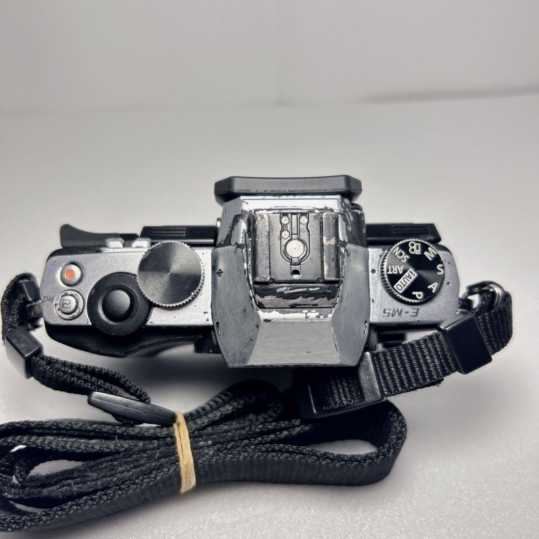 OLYMPUS OM-D EM5 ミラーレス一眼レフ