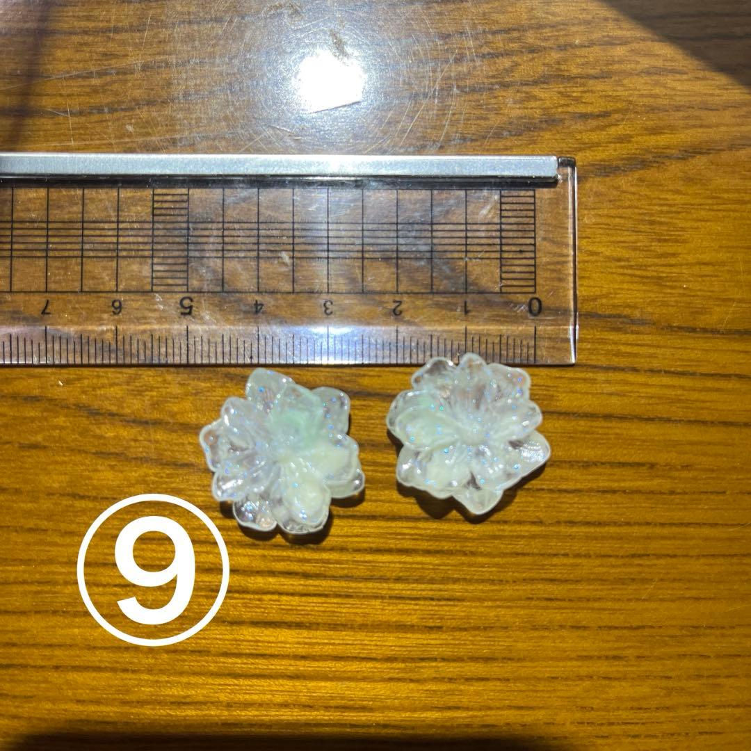 バラ