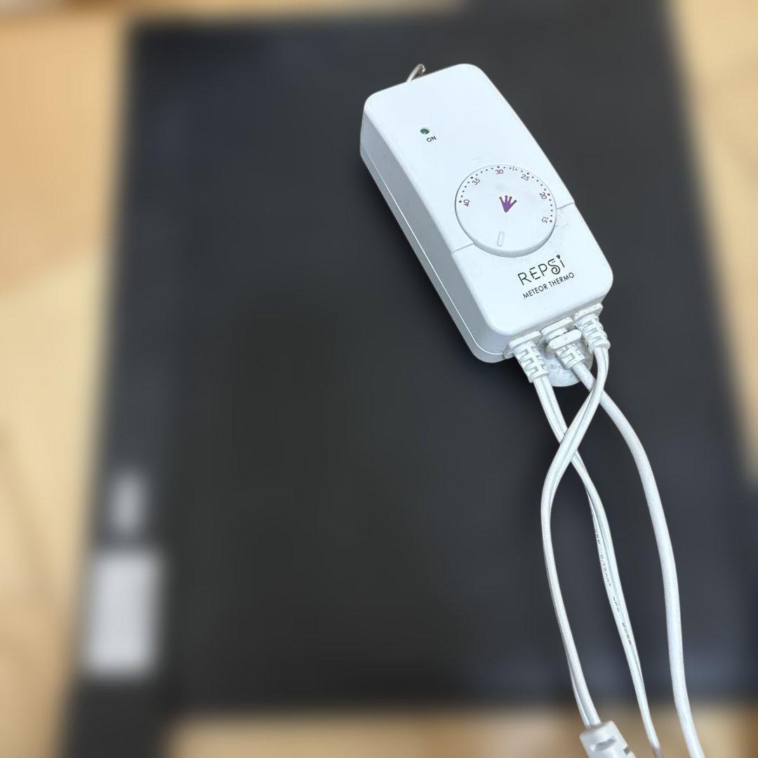 フトアゴヒゲトカゲ　飼育セット
