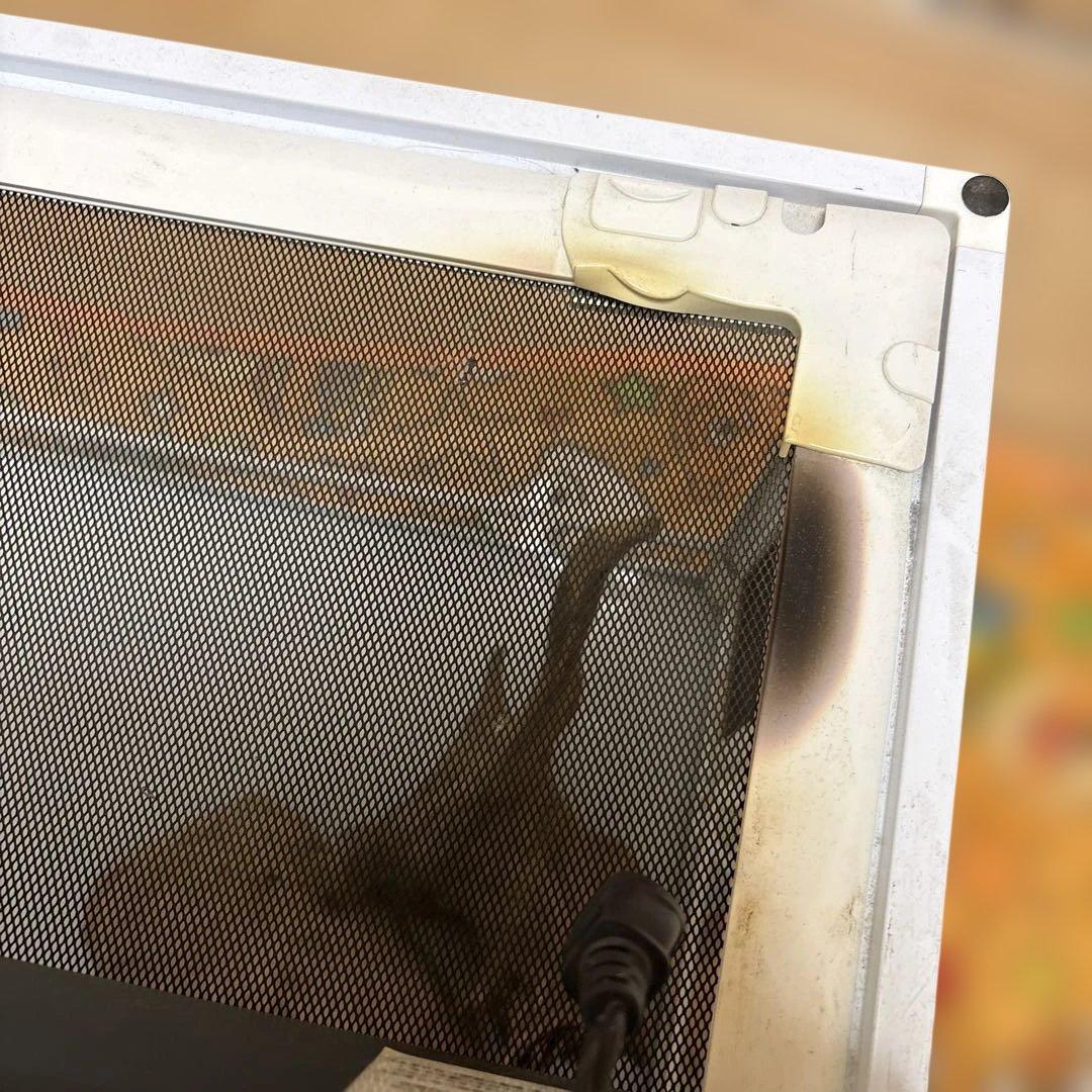 フトアゴヒゲトカゲ　飼育セット