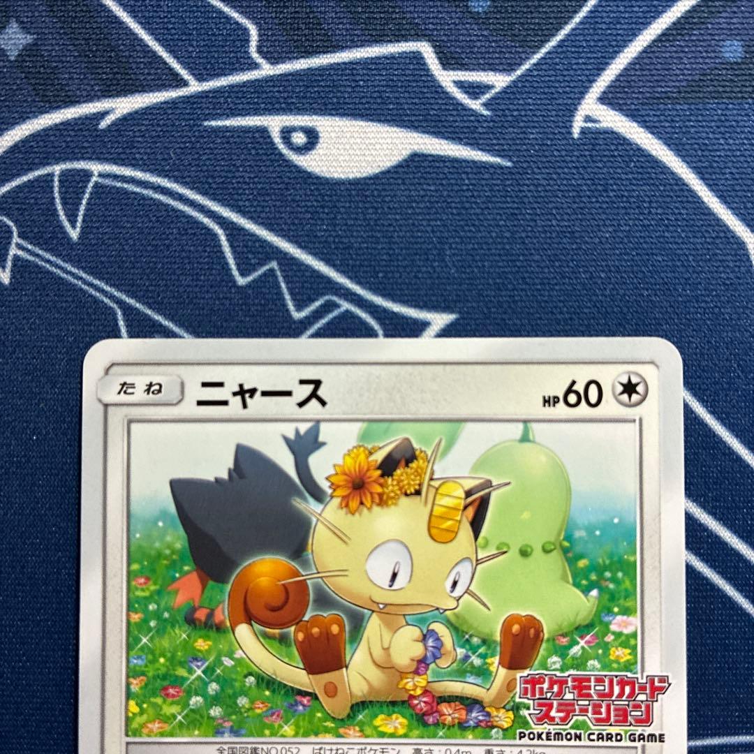 D*G様 チコリータ/ニャビー/ニャース　ポケモンカードステーションプロモ