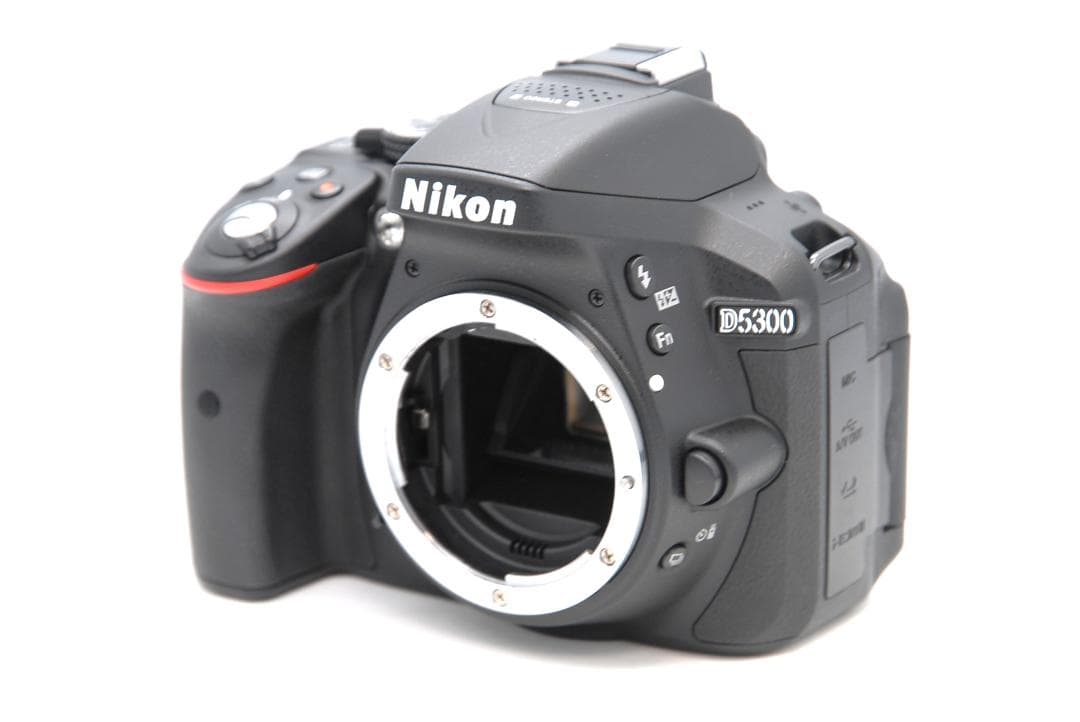 シャッター数458枚 Nikon D5300 レンズキット 美品 動作良好