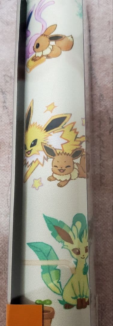 ポケモンカードゲーム イーブイ コレクションファイル＆プレイマット