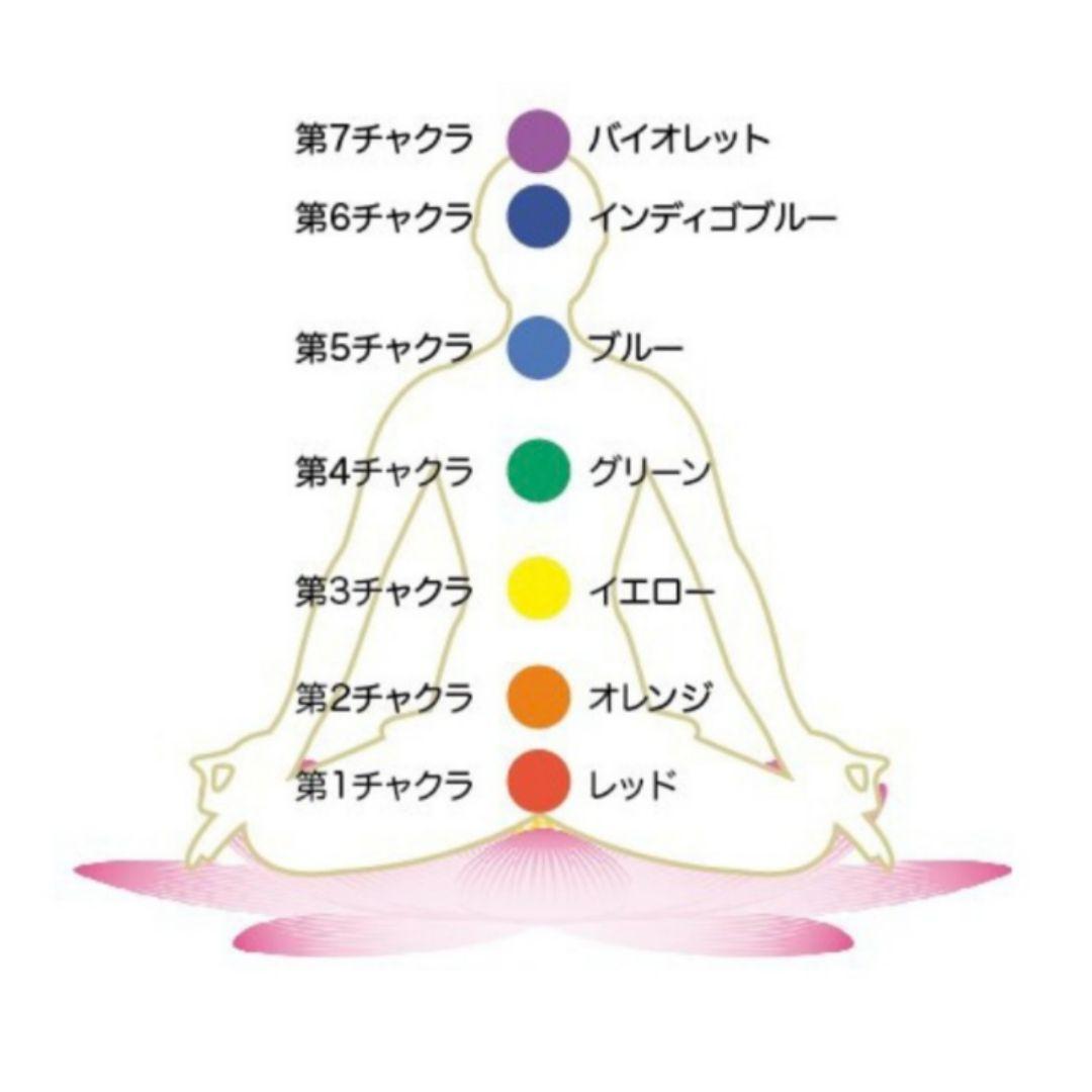 Kgf14 希少 アンダラ 夢の実現 【マゼンタルビーレッド】 トップ