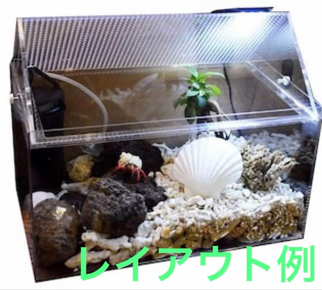 オカヤドカリ　アクリル飼育ケージ 大　AC電源付き