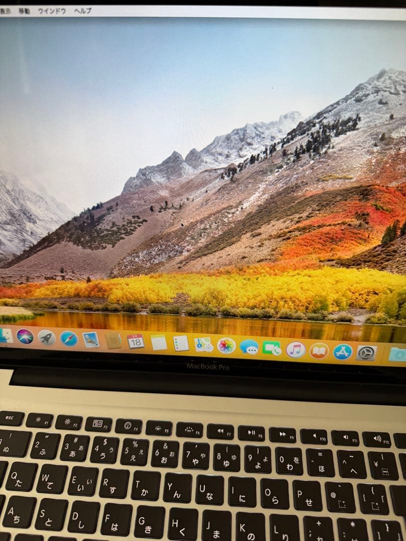 MacBook本体 MacBook Pro (15-inch, Early 2011)