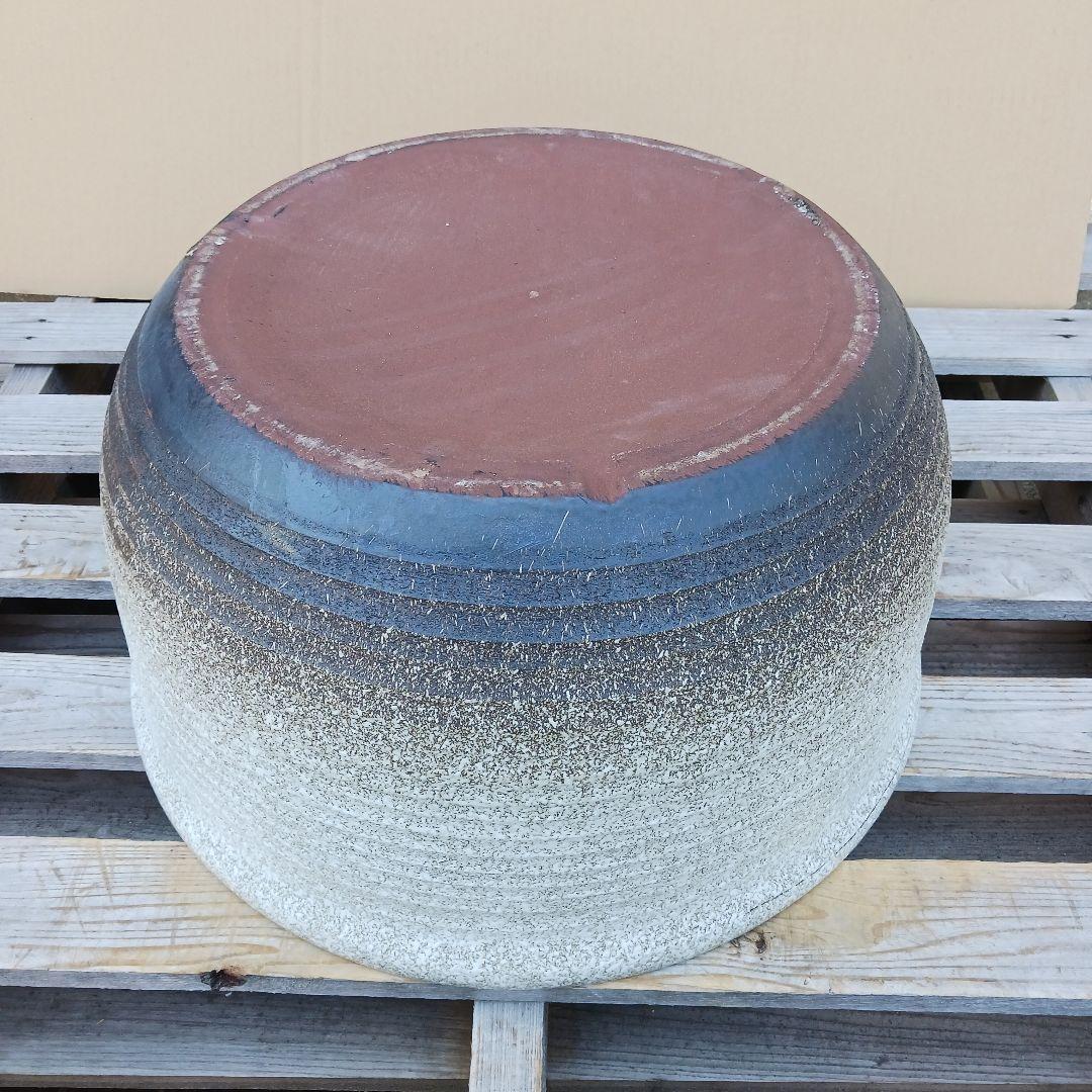新品　∅50　陶器　睡蓮鉢　特大　メダカ鉢　白　ホワイト　ルーバー　難有　LWH