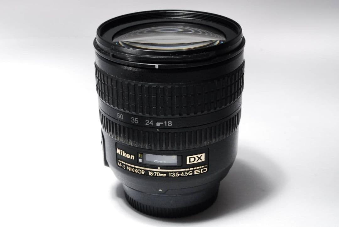 ♥CCDの味ある描写♥Nikon D70s♥堅牢ボディモデル 高画質 名機