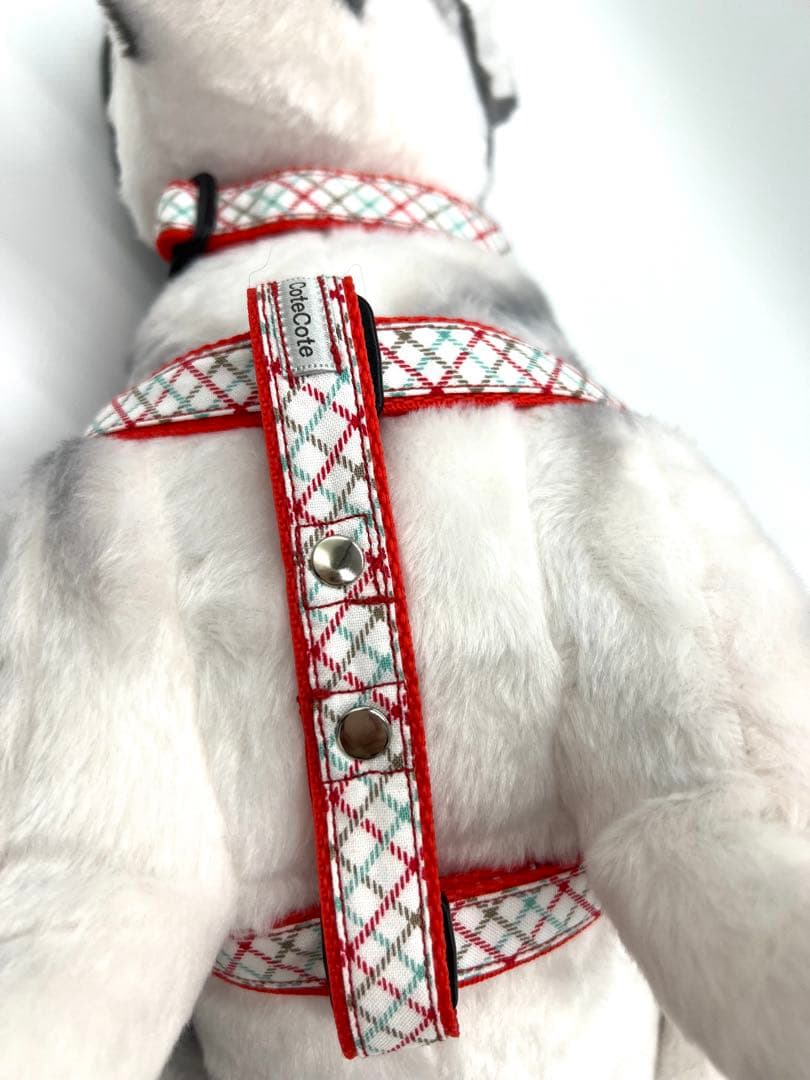 犬用品　首輪・ハーネス・ショルダーリード・ジョイントリードのフルセット