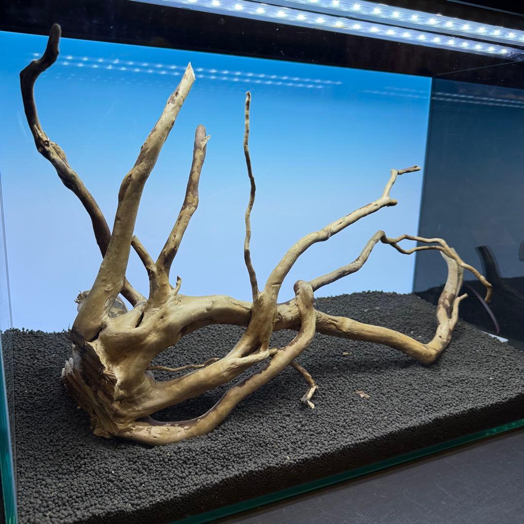 MDW-6956 特大ブランチウッド　流木　枝流木　アクアリウム