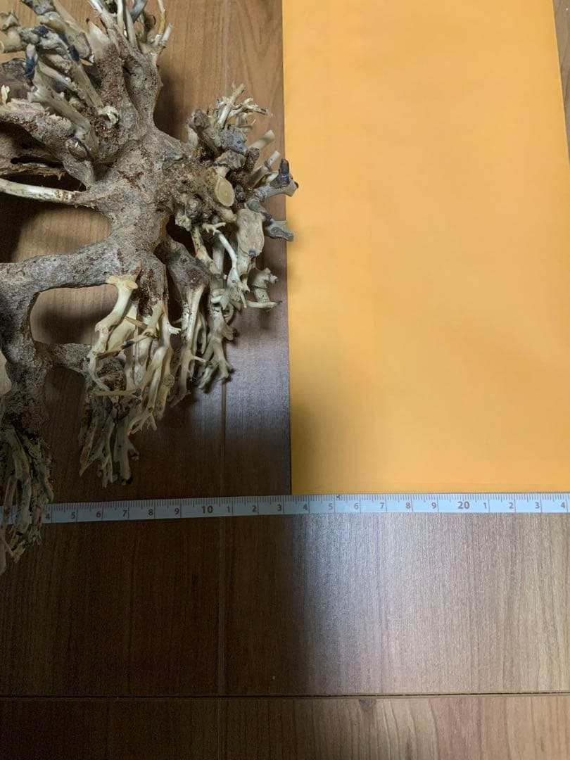 盆栽　流木　2本