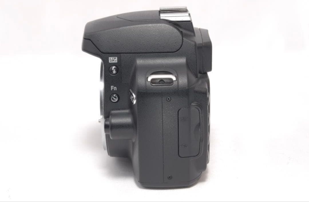 ⭐️軽量＆コンパクト⭐️Nikon D40　デジタル一眼レフ 高画質　ニコン