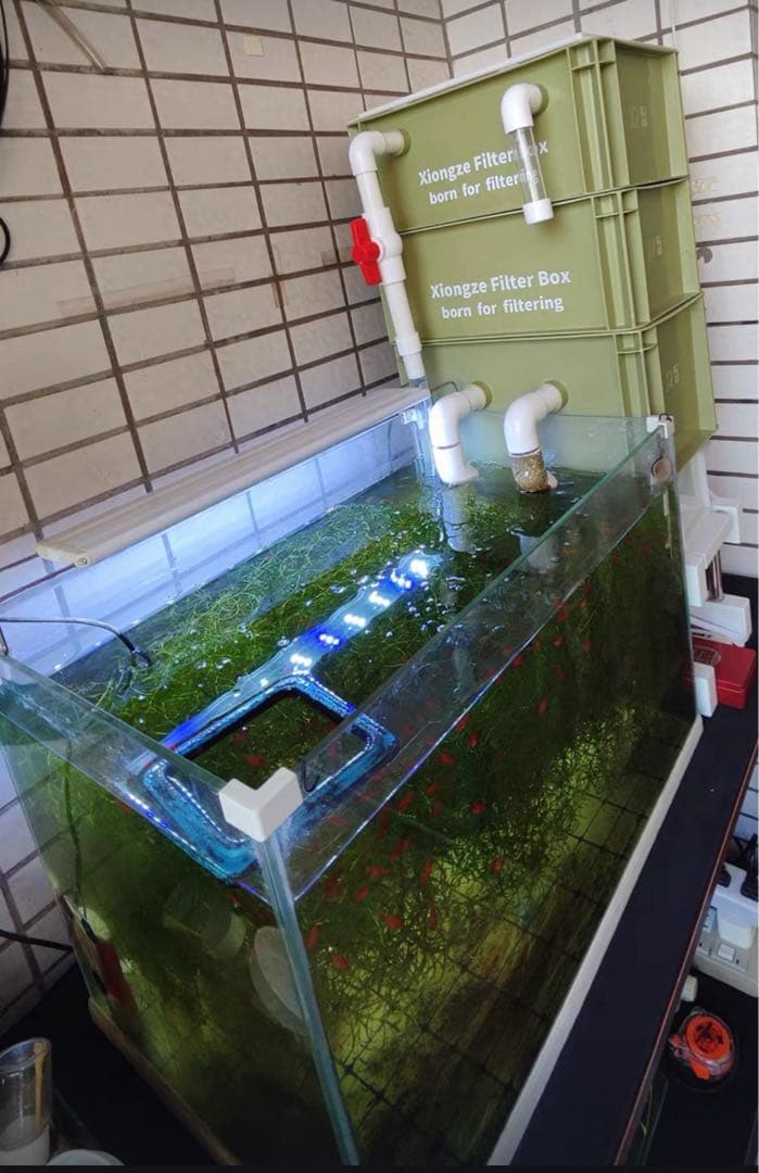 コンパクト小型　水槽池用万能フィルター 濾過槽　外部式飼育濾過器装置