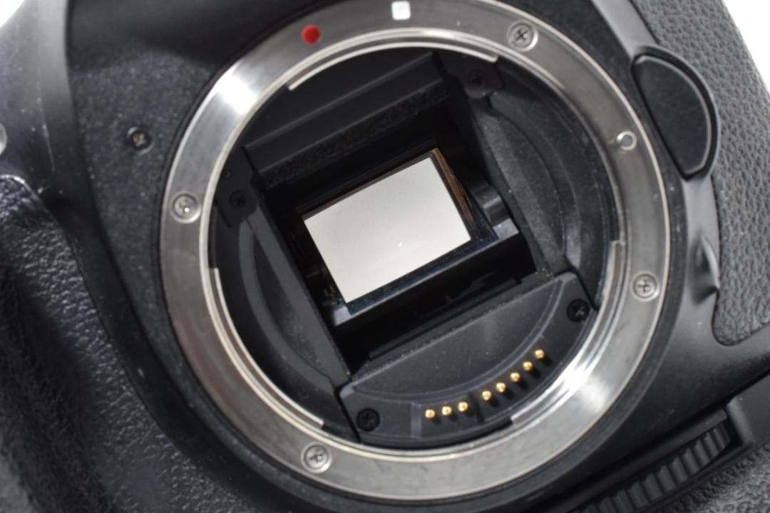 【純正バッテリーグリップ付き】 CANON キャノン EOS7D＋BG-E7