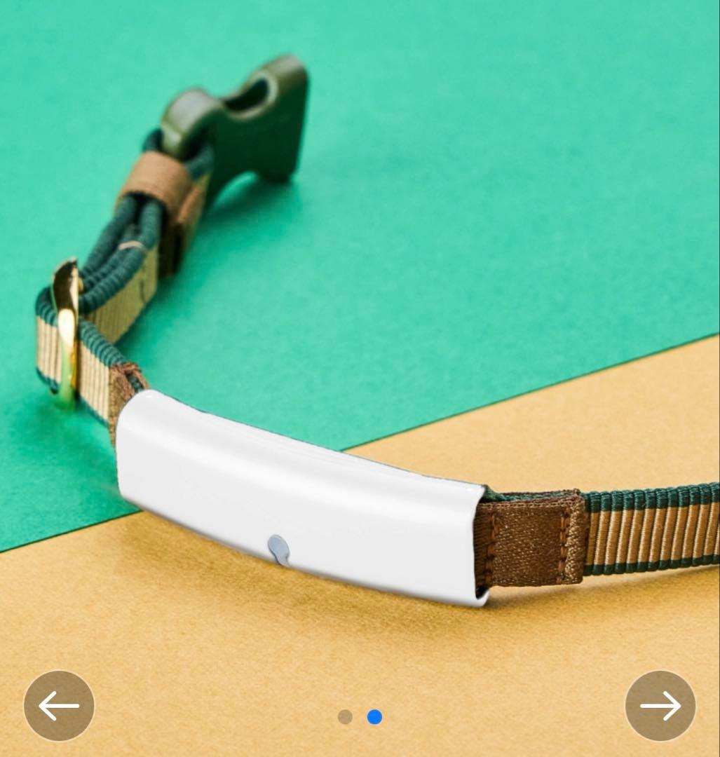 catlog 新品