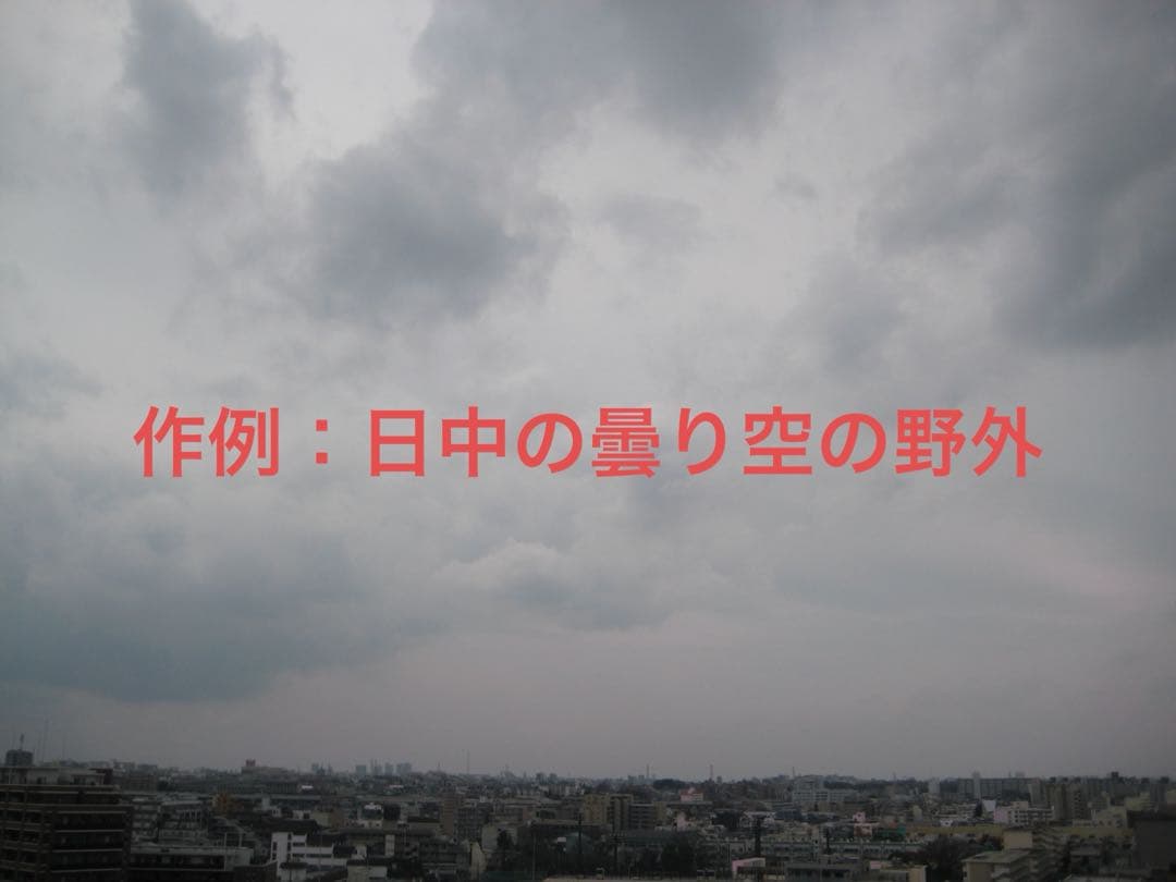 L*箱様 【動作確認済】Canon キャノン IXY DIGITAL 10 PC