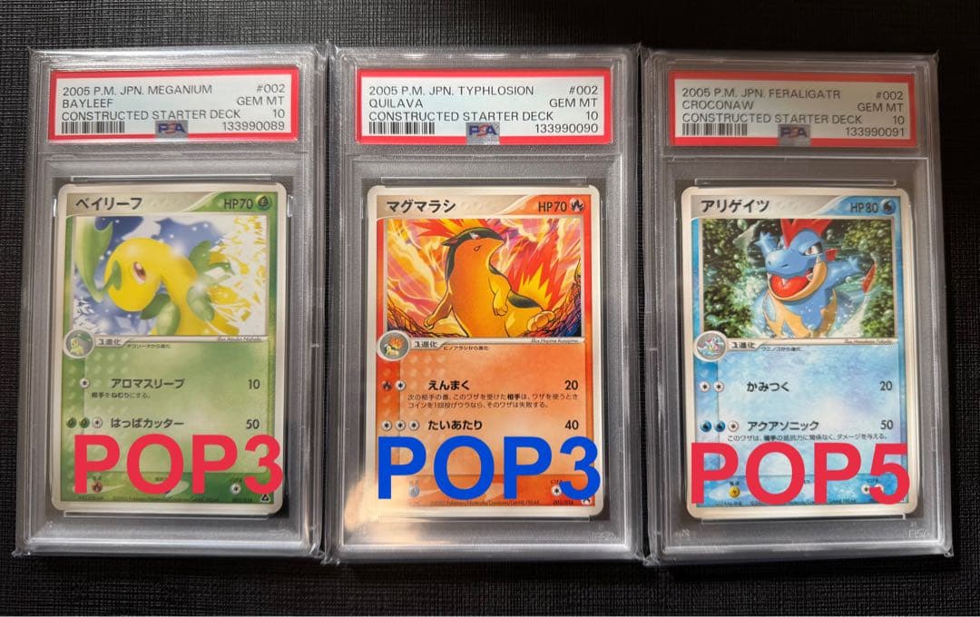 【PSA10】ベイリーフ マグマラシ アリゲイツ PCG 構築済みデッキ 3連番
