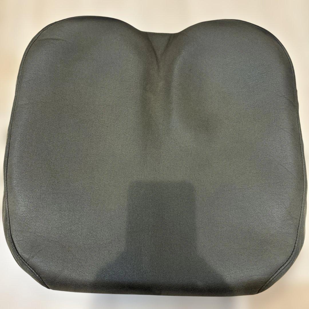エクスジェル　アウル　茶色