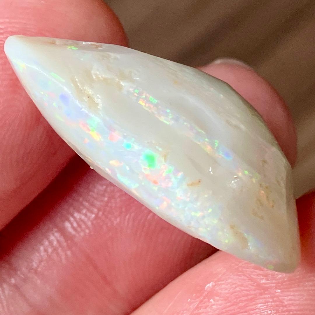 34.1ct 鮮色！ オパール 化石 アサリ 原石