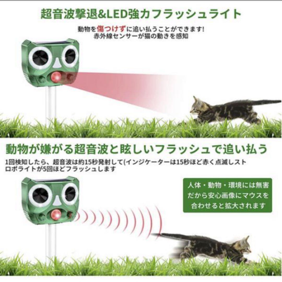 猫よけ　四個セット