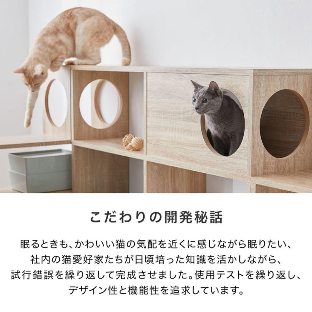 ◎めー◎
