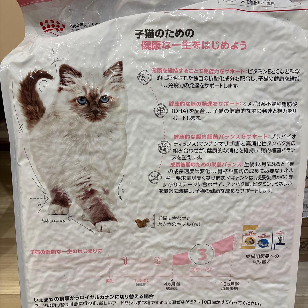  CANIN 子猫用成長後期ドライフード 10kg