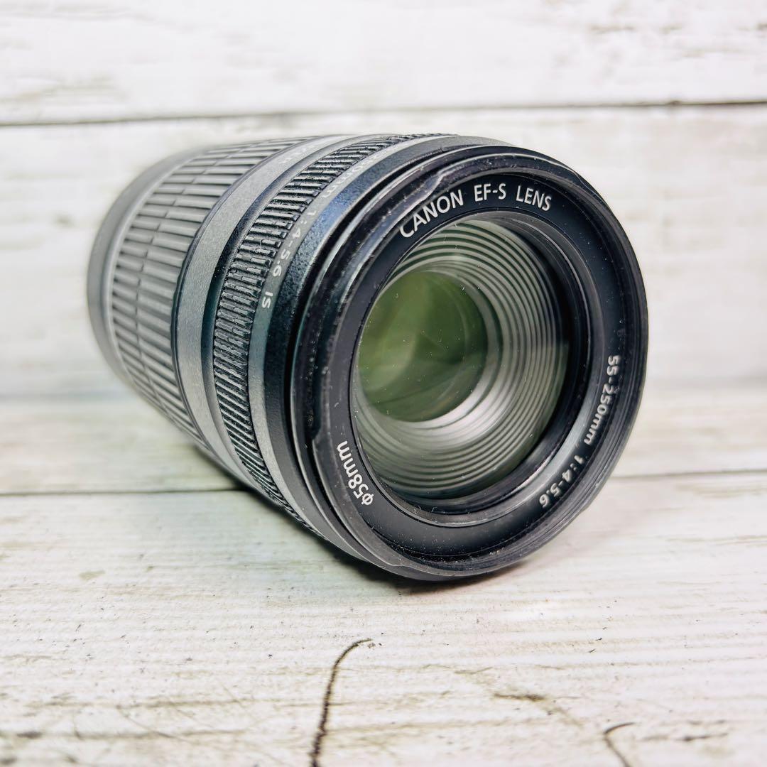 【動作良好】Canon EF-S 55-250mm F4-5.6