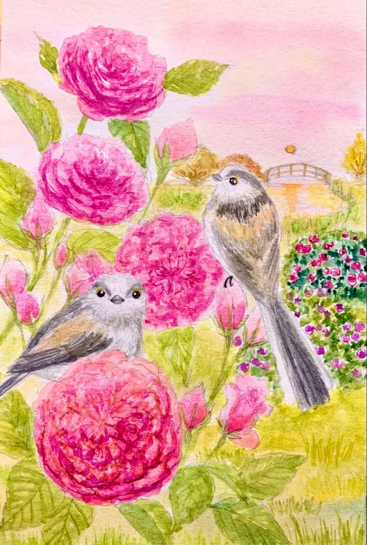 ♡たまみな♡水彩画　夕暮れの薔薇とエナガ　値段は※900円です