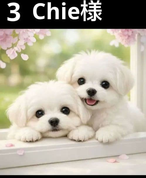 オーダーページ5020 ハンカチ　窓辺の仔犬柄　ハンドメイド2/12