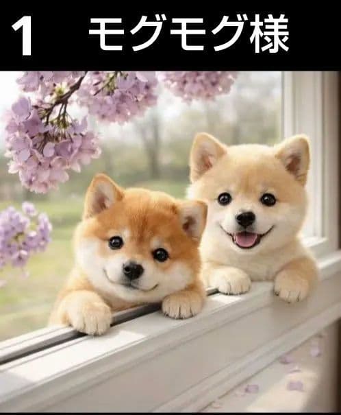 オーダーページ5020 ハンカチ　窓辺の仔犬柄　ハンドメイド2/12