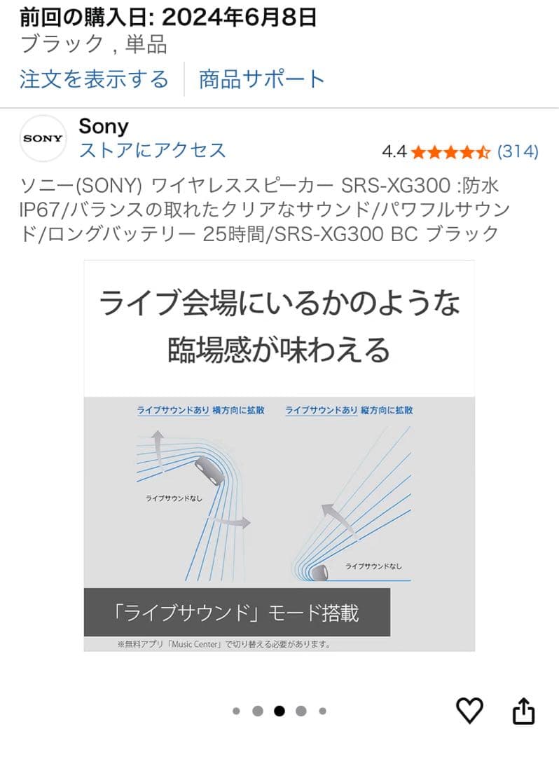 【！特別価格！】さらに【！専用ケース付き！】 ★SRS-XG300 グレー