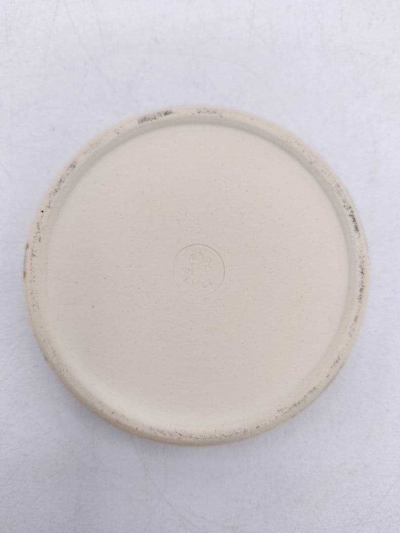 d059【未使用】香合 仁清写 芽張柳 山川巌 木箱 茶道具