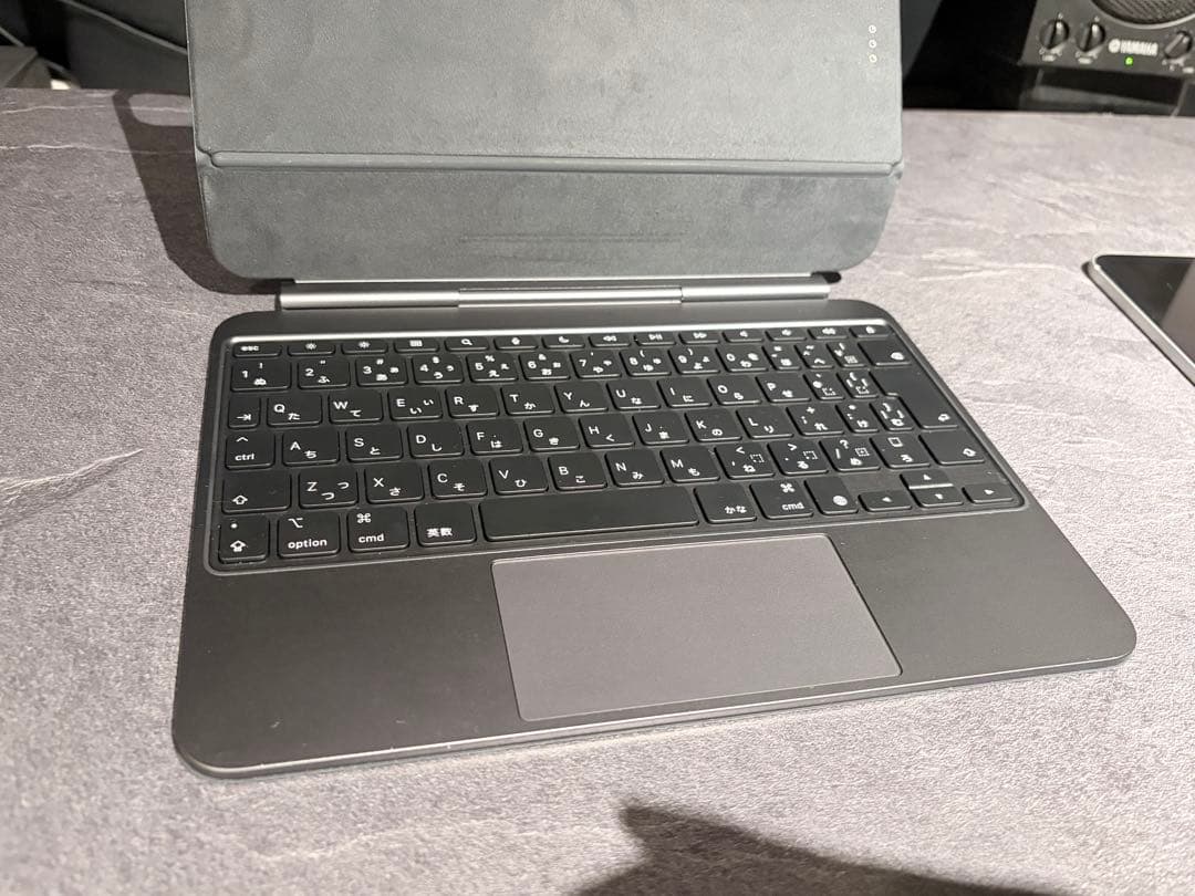 【美品】iPad Pro 11インチ M4 512GB Wi-Fi シルバー