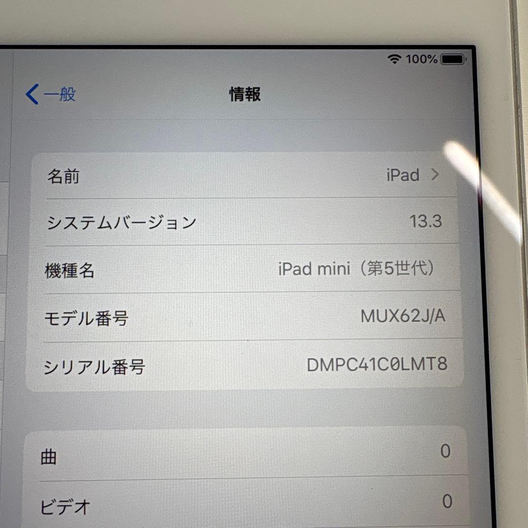iPad mini5 セルラー 64GB SIMフリー　(72)