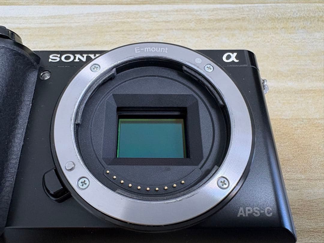 SONY α6000 (半ジャンク)