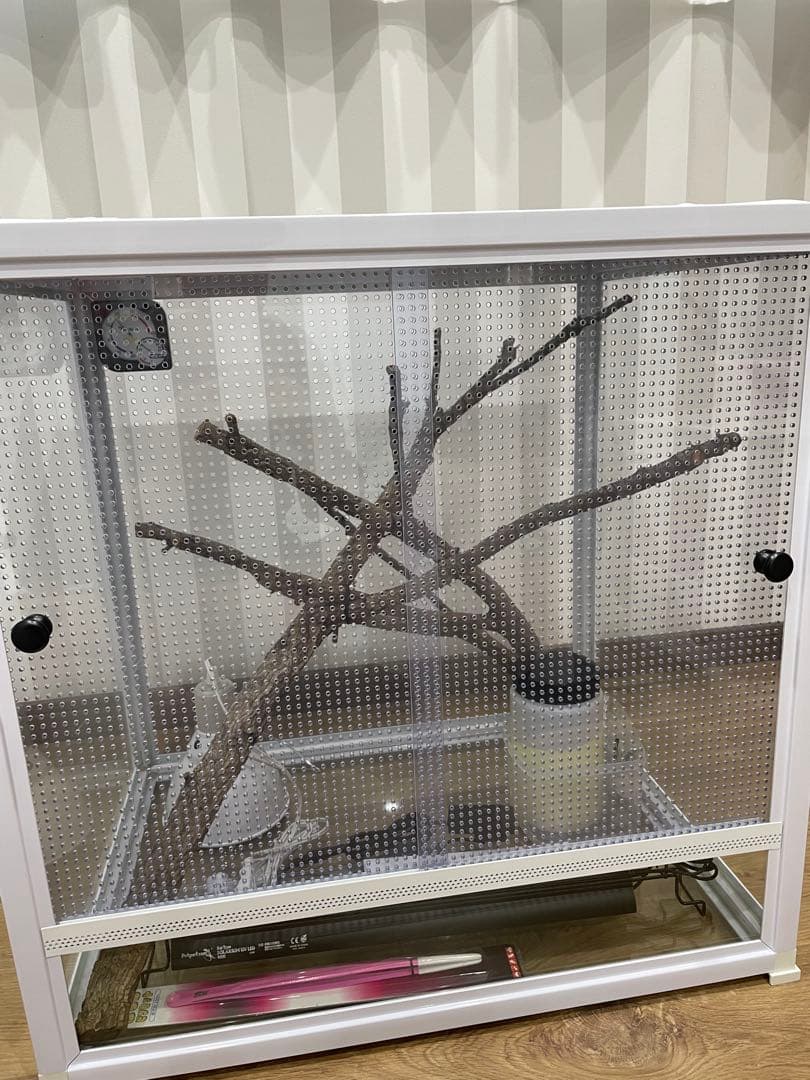 爬虫類ケージ 通気性メッシュ　600×600×450 フルセット