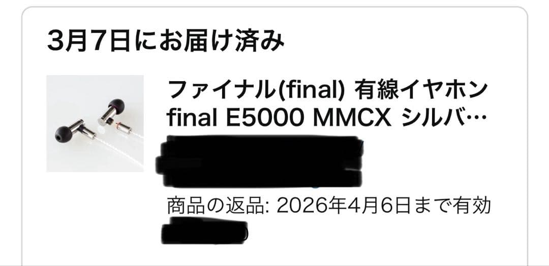 【RYO】final E5000 MMCX シルバーコートケーブル付属