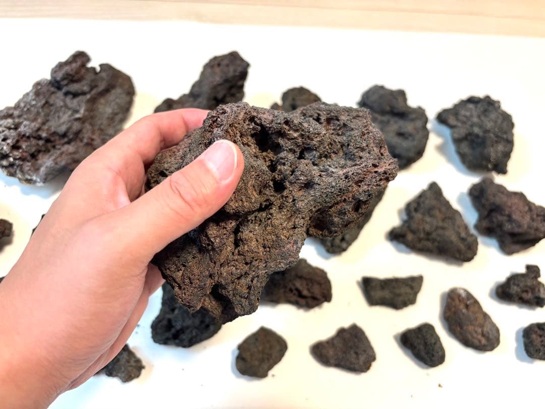 【ずー】アクアリウム用 溶岩石 サムライラバロック まとめ売り①②