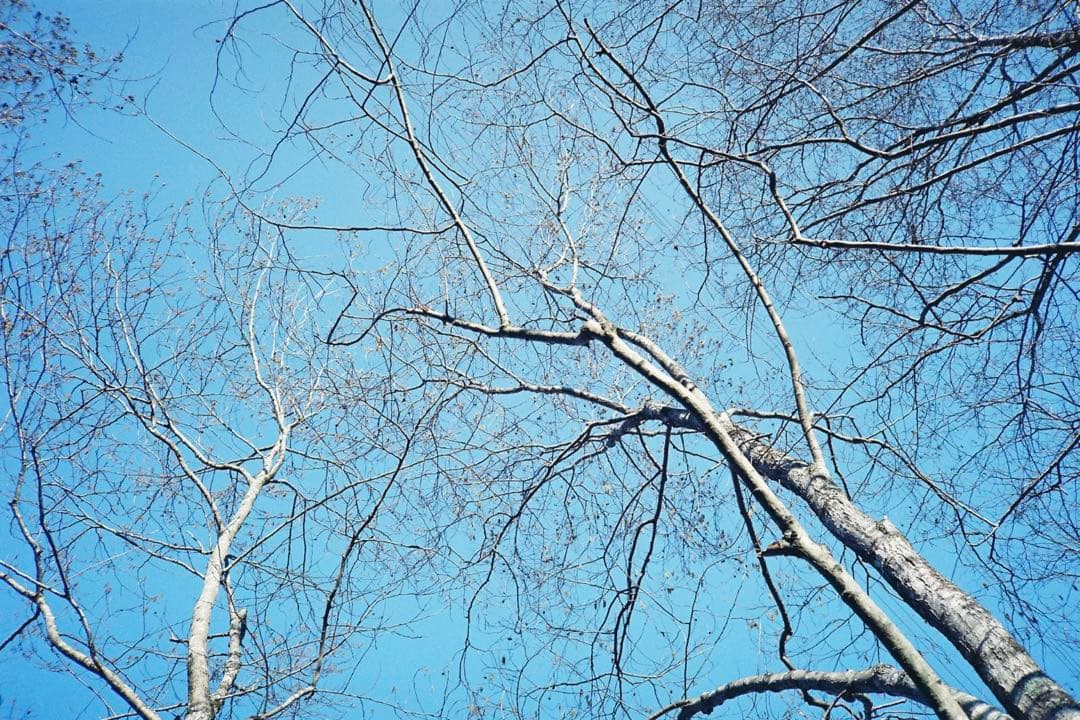 【撮影済み】PENTAX ESPIO 125M コンパクトカメラ