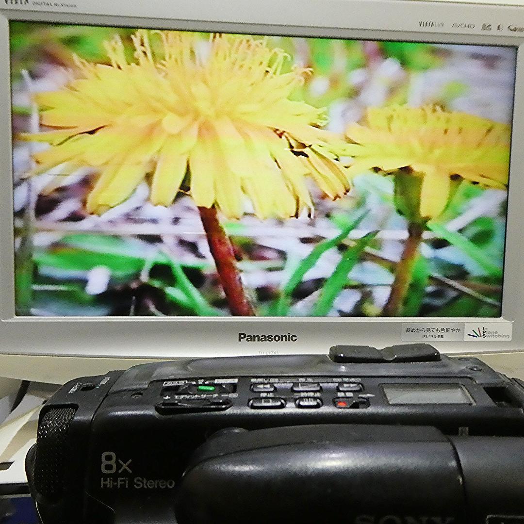ソニーCCD-TR705 動作良好 VideoHi8ビデオカメラ　DVD化に最適