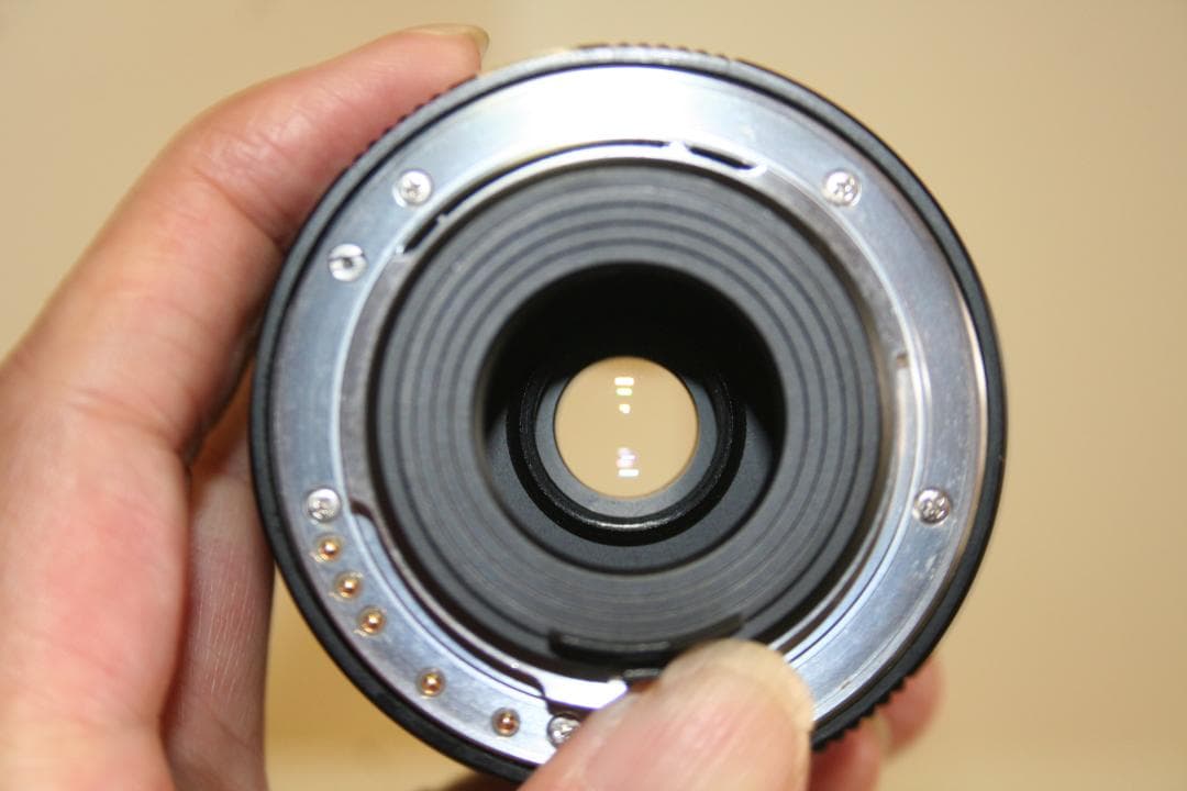 【動作確認済】ペンタックスistDS+smcPENAXDA18-55㎜（D10）