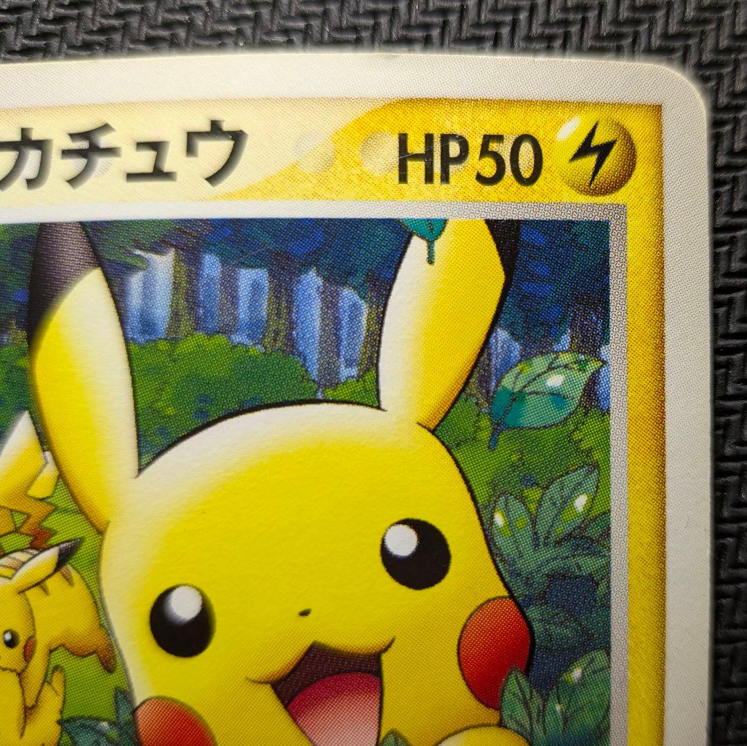 CHOKO専用！　ポケパークのピカチュウ