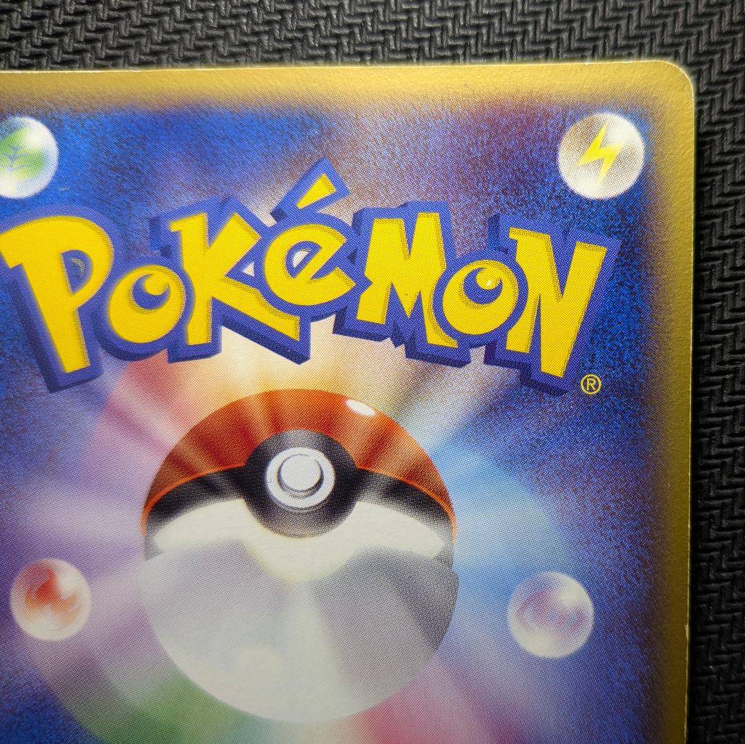 CHOKO専用！　ポケパークのピカチュウ