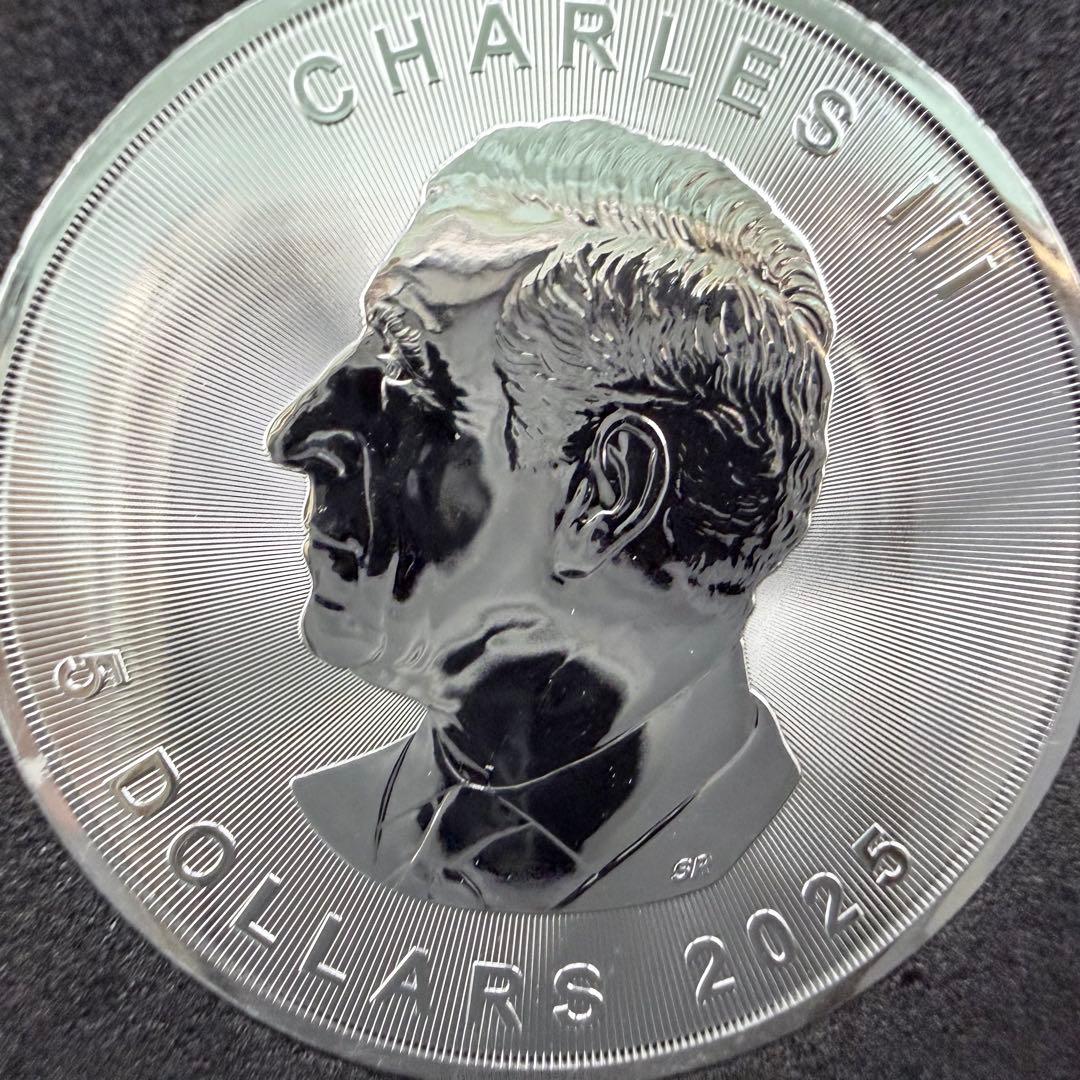百枚限定 メイプルリーフ 銀貨 カラー インド象 エレファント 1オンス 1oz